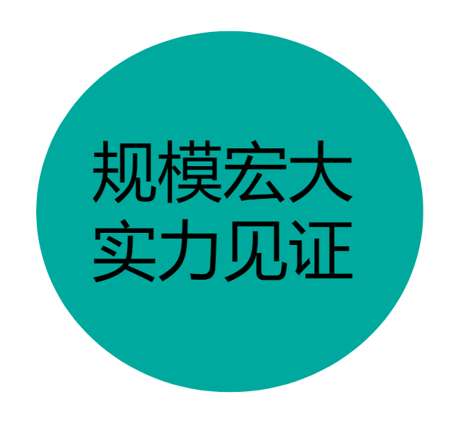 规模宏大，实力见证