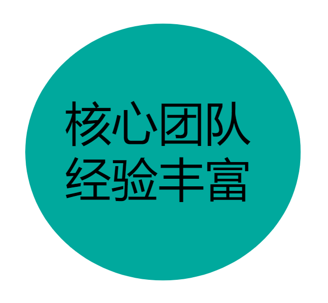 核心团队，经验丰富