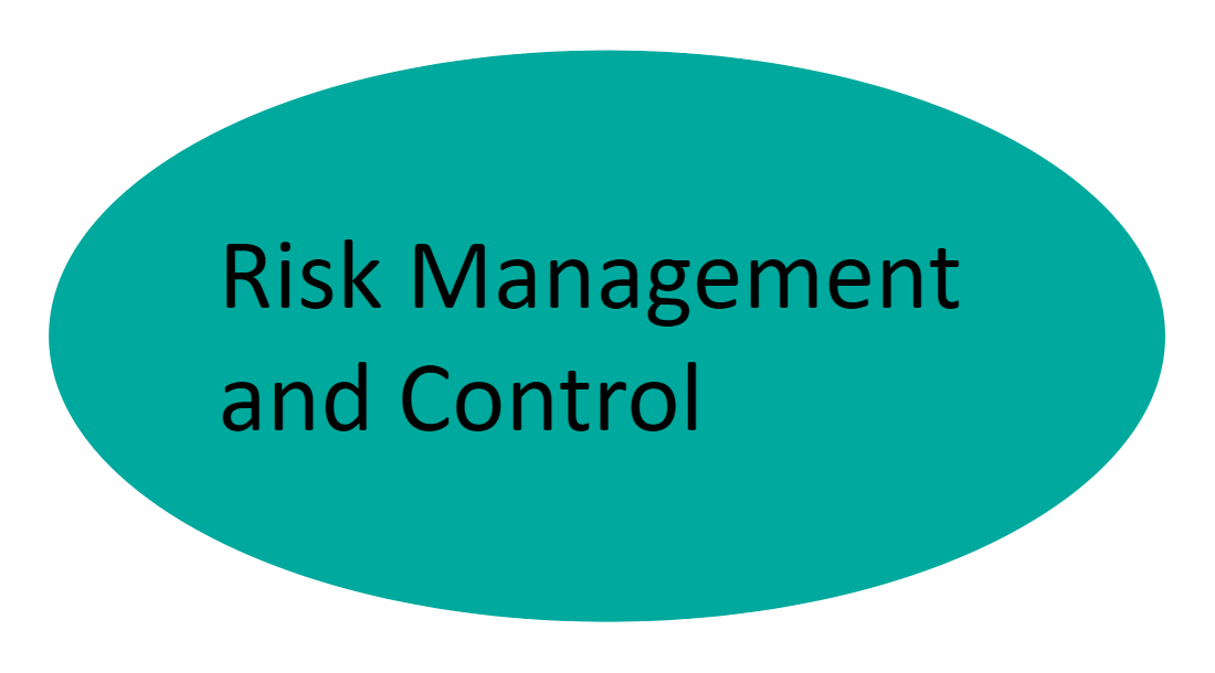 Risk Management
