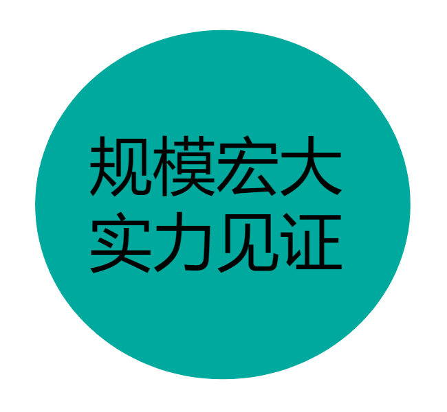 规模宏大，实力见证